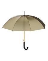 Umbrella isolated on background. 3d rendering - illustration photo