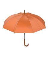 Umbrella isolated on background. 3d rendering - illustration photo