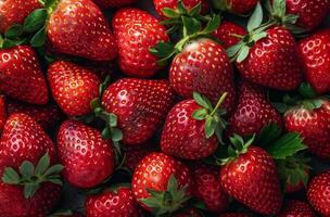Freshly Picked Red Strawberries With Green Leaves photo