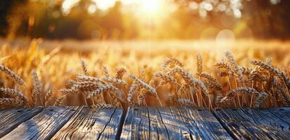 Golden Wheat Field at Sunset With Wooden Plank photo