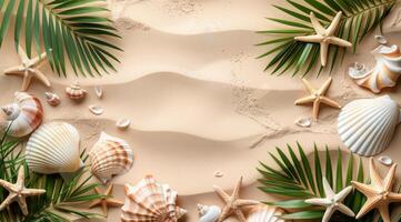 Palm Leaves, Seashells, and Starfish on Sand Beach photo