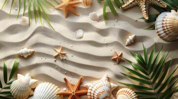 Seashells and Starfish on Sandy Beach During a Sunny Day photo