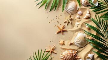Palm Leaves, Seashells, and Starfish on Sand Beach photo