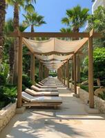 Relaxing Loungers Under A Pergola In A Sunny Resort Garden photo