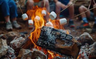 Toasted Marshmallows on Sticks Over a Campfire photo