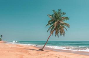 Lone Palm Tree Leaning Over Tropical Beach on Sunny Day photo