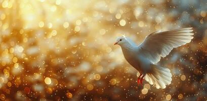 blanco paloma volador mediante dorado bokeh foto