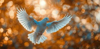 White Dove Flying Through Golden Bokeh photo