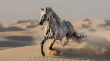White Horse Running Through Desert Sand Dunes at Sunset photo