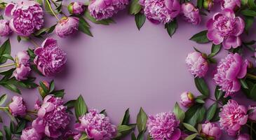 Pink and Purple Peonies and Petals Arranged on a Lilac Background photo