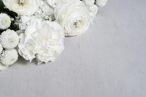 White flowers on light gray background with copy space. Template for text photo