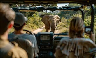 Tourists Viewing Elephant In African Safari Vehicle photo