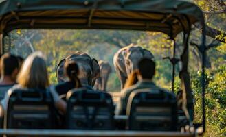Tourists Viewing Elephant In African Safari Vehicle photo