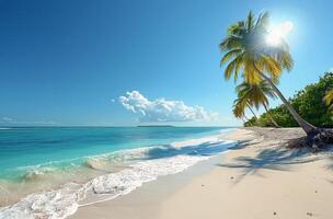 Tranquil Palm Tree On Sandy Beach With Turquoise Water And Bright Sunshine photo