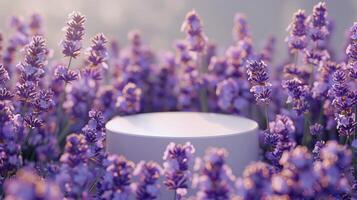 White Cylinder Product Display in Purple Lavender Field at Sunset photo