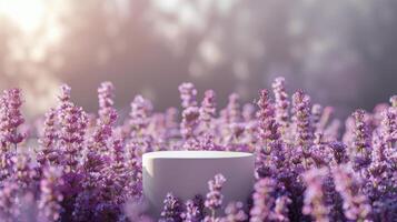 White Cylinder Product Display in Purple Lavender Field at Sunset photo
