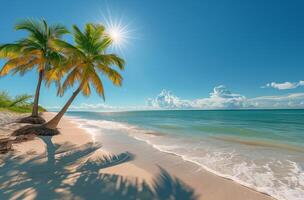 Tranquil Palm Tree On Sandy Beach With Turquoise Water And Bright Sunshine photo