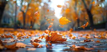 Autumn Leaves Falling on a City Sidewalk photo