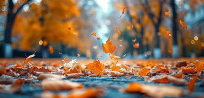 Autumn Leaves Falling on a City Sidewalk photo