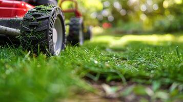 Lawn Mower on Lush Green Field photo