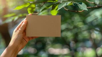 Person Holding Paper in Hand photo