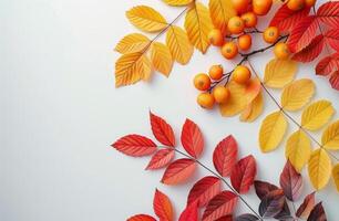 Orange And Red Fall Leaves Frame A Sunny Background photo