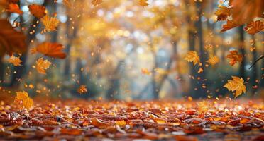 Autumn Leaves Falling in a Forest During Daytime photo