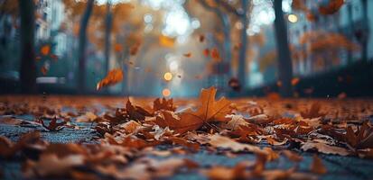 Autumn Leaves Falling on a City Sidewalk photo