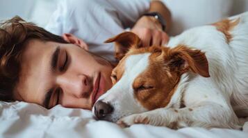 Man Resting in Bed With Brown and White Dog photo