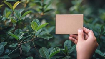 Person Holding Paper in Hand photo