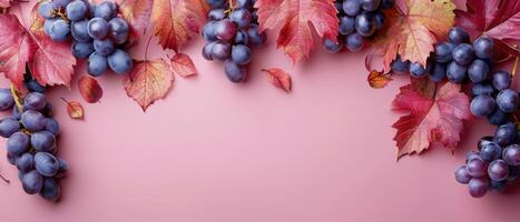 Red Grapes and Autumn Leaves on Pink Background photo