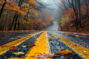 Wet Road With Yellow Lines Through Autumn Trees photo