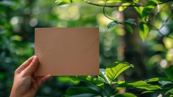 Person Holding Paper in Front of Bush photo