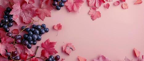 Fresh Grape Clusters and Red Autumn Leaves on Pink Background photo