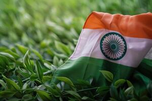 Indian Flag Depiction on Distressed Textured Surface photo
