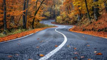 Winding Road Through Autumn Forest in a Mountainous Landscape photo