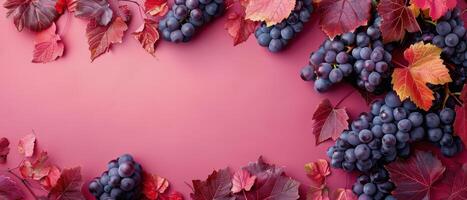 Grapes and Red Leaves on a Pink Background photo