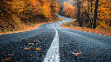 Winding Road Through Autumn Forest in a Mountainous Landscape photo