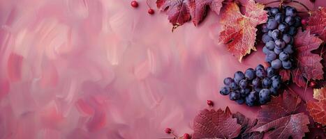 Purple Grapes and Red Leaves on a Pink Background photo