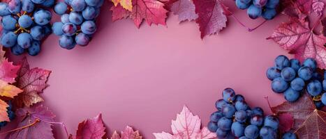 Red Grapes and Autumn Leaves on Pink Background photo