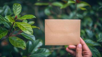 Person Holding Paper in Front of Bush photo