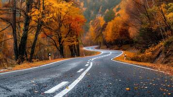 Winding Road Through Autumn Forest in a Mountainous Landscape photo