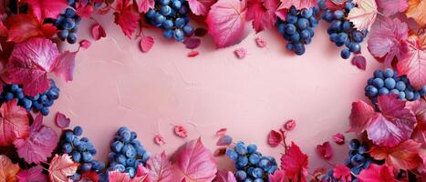 Fresh Grape Clusters and Red Autumn Leaves on Pink Background photo