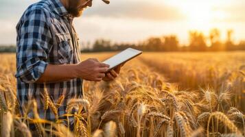 Man Standing in Wheat Field Holding Tablet photo