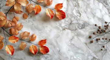 Colorful Autumn Leaves Scattered On Marble Surface photo