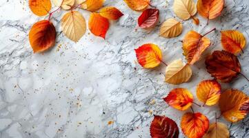 Colorful Autumn Leaves Scattered On Marble Surface photo