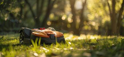 Black Robotic Lawn Mower Cutting Grass in a Sunny Park photo