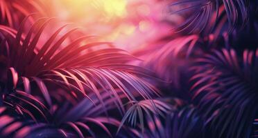 Closeup of Palm Fronds Illuminated by Sunset Light photo