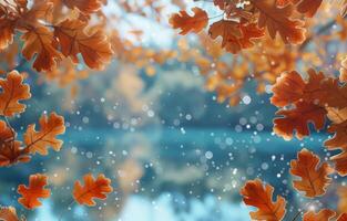 Autumn Leaves Falling on a Calm River in the Sunlight photo