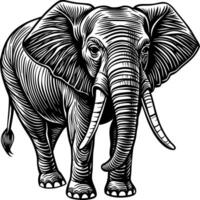 an elephant is standing in a woodcut style vector